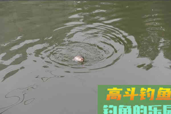 都说快拉慢搓，这话的精髓，其实要这么理解