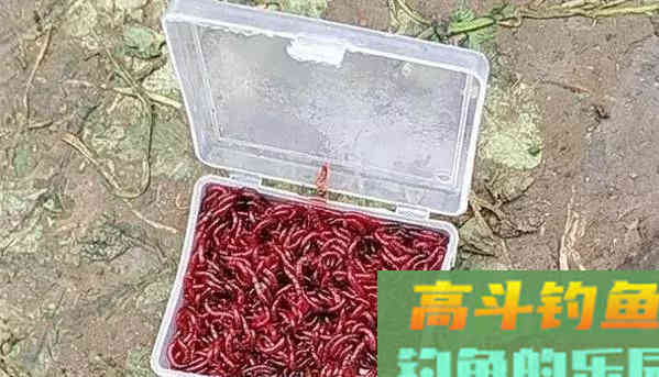 天冷用虫饵时，只需牢记3个高端用法，入水就有口