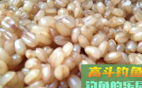 夏季的两个绝杀鲫鱼饵料配方，使用不怕闹小鱼