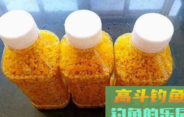 秋意浓桂花香，自制桂花酒米，四季通用，狂拉大鲫鱼