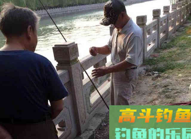 万能鱼饵非蚯蚓莫属？不，还有苍蝇也可以钓鱼