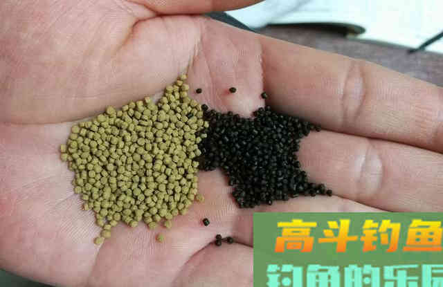 高蛋白颗粒、开口料、能量料的钓鱼选择和避坑技巧