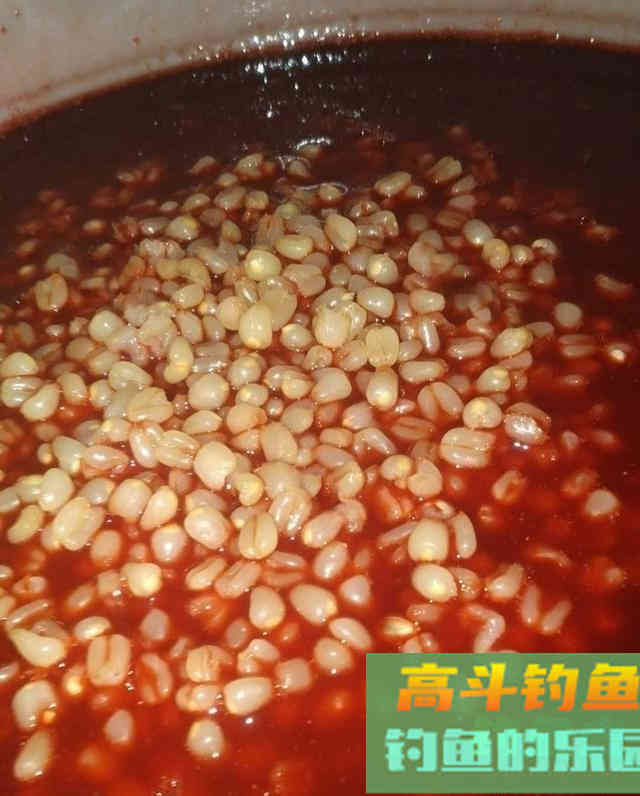 诱钓鲫鱼，小麦窝料制作教学，钓获十条鲫鱼