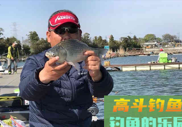 真正拉开钓鱼水平差距的，是理解能力，多数人忽视了