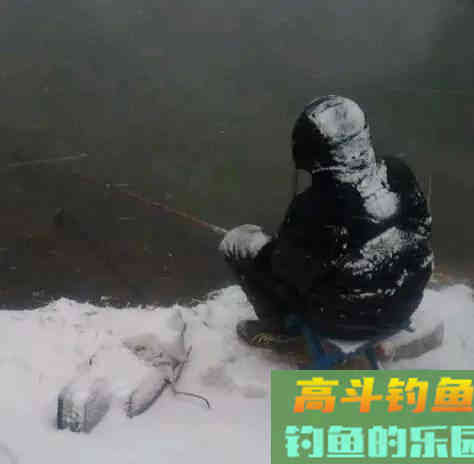 晚秋用腥饵，也要有技巧，这么做才能大鱼进窝小鱼不闹