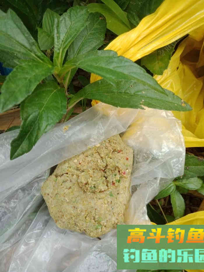回家顺手试自配草鱼饵，还是七彩非伴随左右