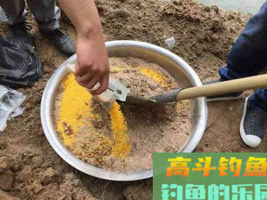 打窝不聚鱼，其实多半还是窝料味型的锅