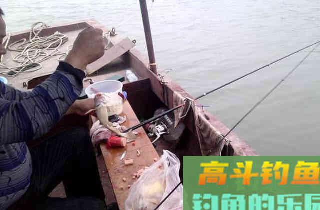 火腿肠也能钓鱼？用白酒、红糖、氨基酸泡制后，有效