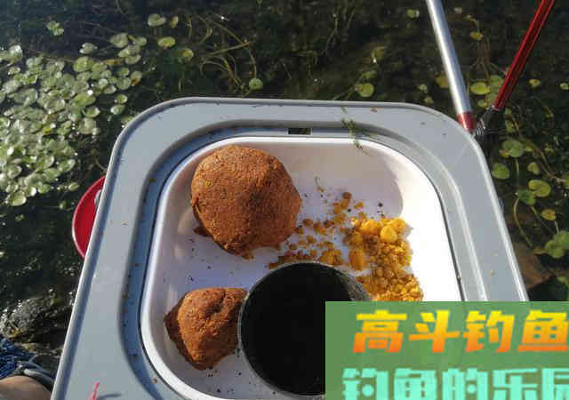 钓鱼高手们为啥咋钓都上鱼？原来用饵真是门学问