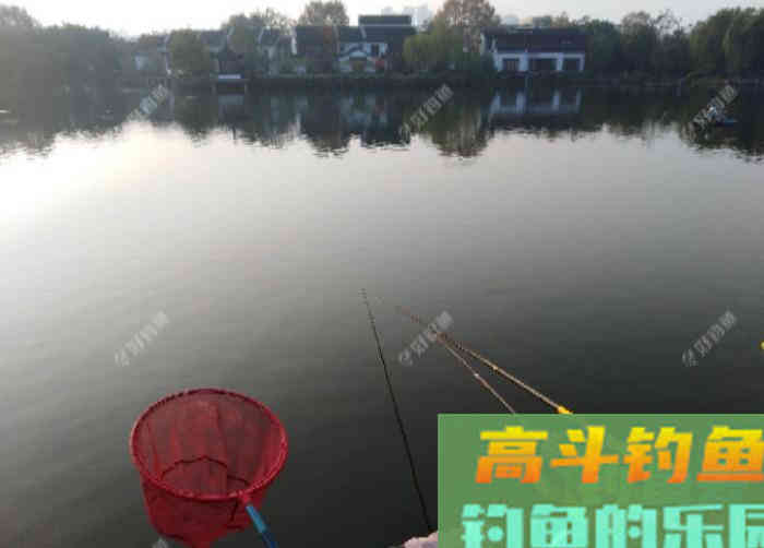 几种不宜挂钩作钓的饵，注意用饵方面的灵活运用与变化