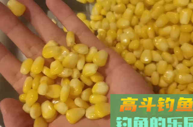 垂钓领域中的本源钓饵，作钓各个鱼种里的权威存在