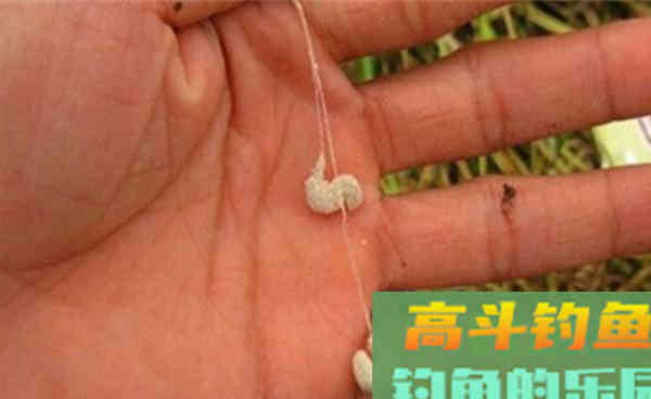 传统钓用饵威力加强版，小鱼不闹窝，只把大鱼钓