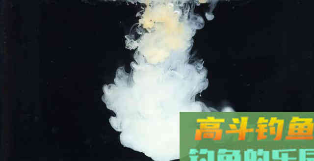 到底有哪些原因造成鱼无法吃饵？看你我总结的一样否