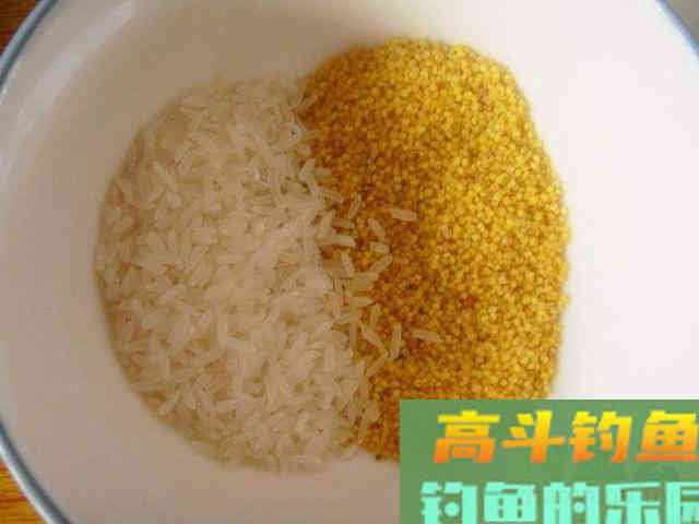 酒米打窝虽好用，但还要了解特点，酒米泡制的经验方法