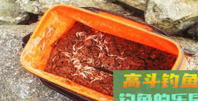 钓鱼打窝绝学分享，想多钓鱼的你值得拥有