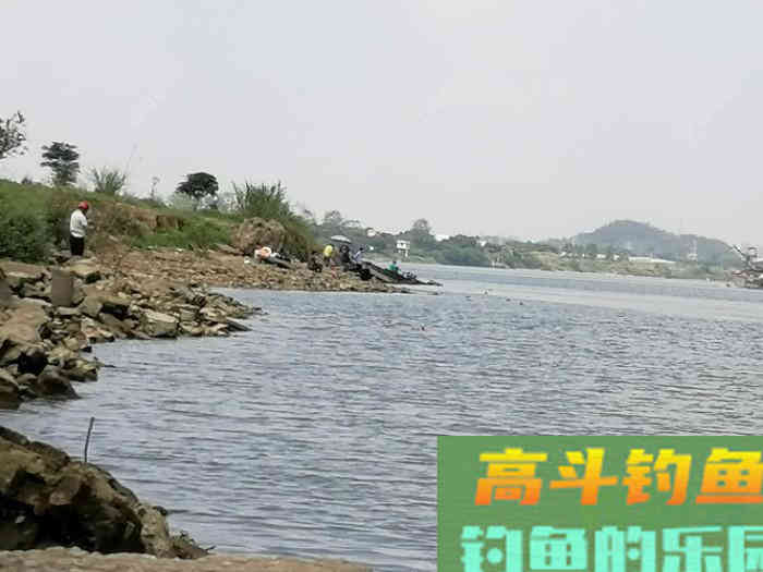 玉米作饵垂钓黑漂却不中鱼！实战经验分析个中缘由