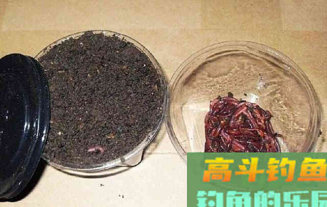 钓鱼中的两种油，在钓饵中广泛使用效果好