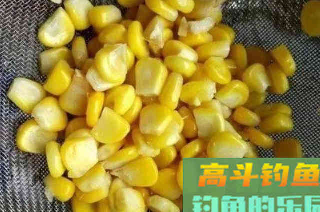 六月后，我就只想用这草鱼尿性饵