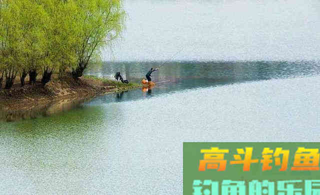 野钓清明前后，打窝迟迟没动静，可以试试隔夜窝