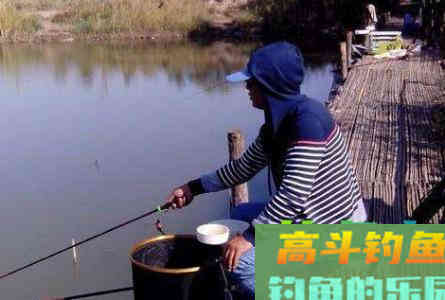 不打窝渔获好，打窝后反而没渔获，什么情况