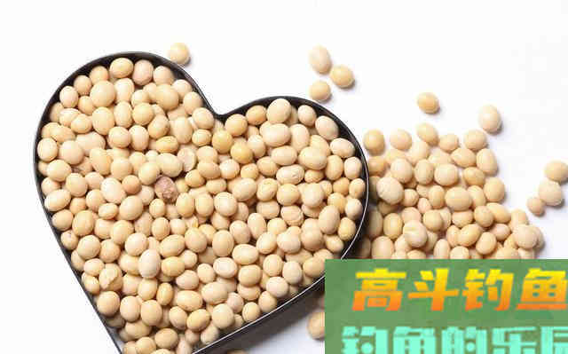 民间自制鲫鱼饵料，比平时至少多5倍渔获