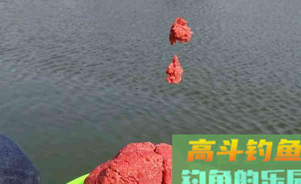 深秋冬季钓鲫鱼，最好使用拉饵，气温低如何保证拉饵状态呢？