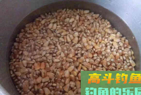 4种诱饵自制方法，真是独具一格！