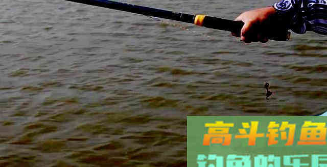 用好饵料才能多钓鱼，想多钓鱼的钓友，请收下这些用饵心得