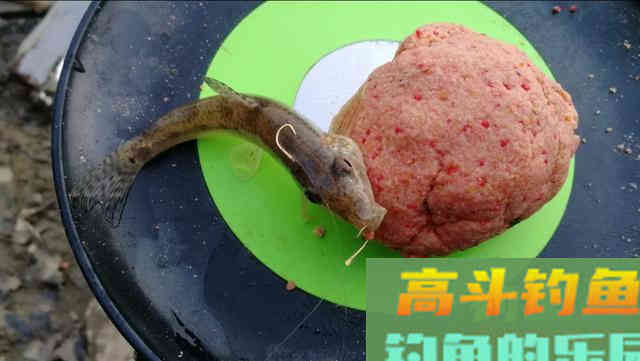 野钓环境下自制散炮，不但避小鱼，还专诱大鲫鱼