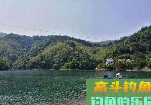 打窝后应该钓窝中间还是窝边？应结合鱼情