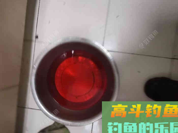 冬季不能出钓，学习做窝料