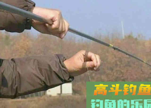 诱来鱼不吃钩，难道是钓饵不合鱼的口味？