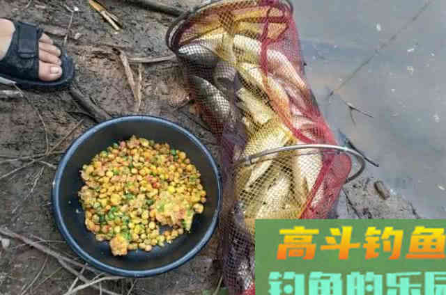 都说钓鱼要用粮食换，该如何打窝，从四个方面考虑