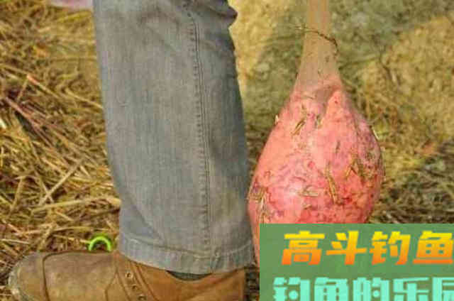野钓打窝时，可以借用的五大神器