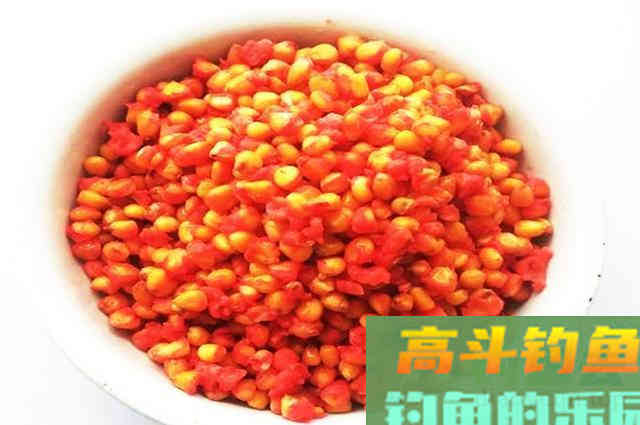 自制钓鱼玉米粒，不注意这几点，钓效差怪不得别人