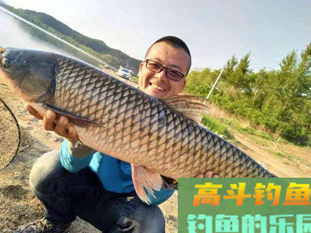 分享几款夏天自制饵料配方，材料便宜制作简单