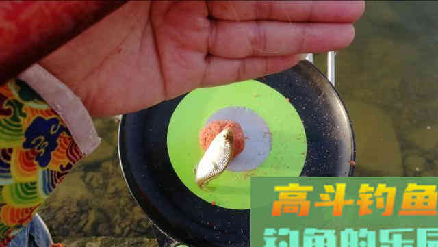 减淡饵料味型避小鱼，那你就错了