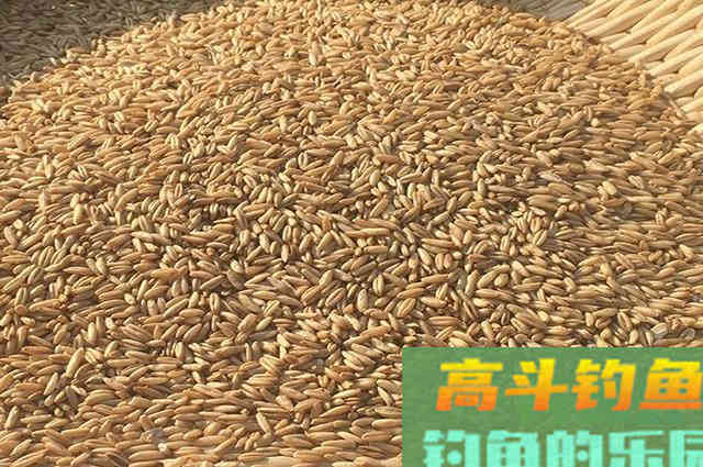 自制特效诱鱼窝料配方分享，适合钓鲫鱼鲤鱼