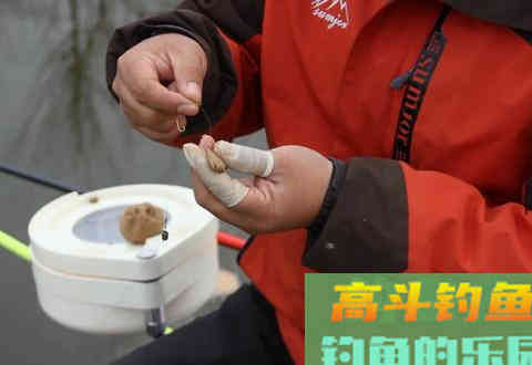 搓饵的形状不同，搓出什么样的形状才好？