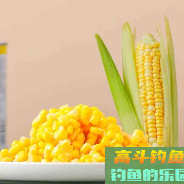 作钓大物的玉米和小麦要怎样制作才能达到功效巨佳