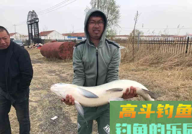 作为钓鱼人你必须知道四季鱼情小药搭配