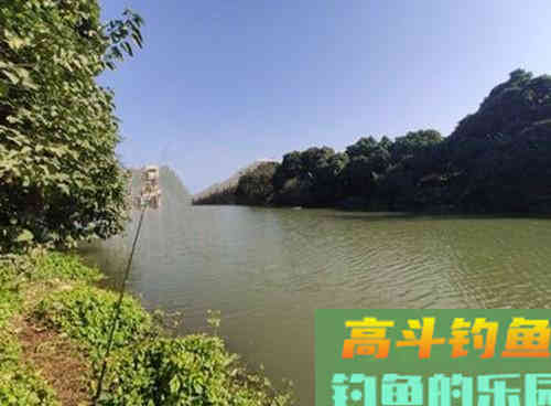 早春野钓到底是饵料配方，还是钓饵状态重要？