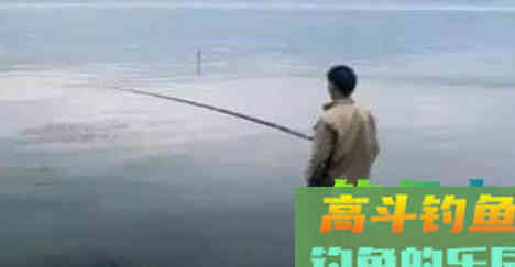 秋钓大鲤，推荐用上这款饵，再狡猾也钓得上来