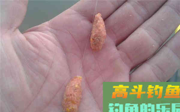 野钓时，饵料搭配及用饵是三个原则