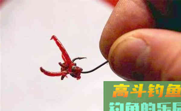 红虫饵料使用技巧全攻略：深秋初冬手竿钓鲫鱼