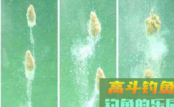 饵料搭配的4大原则，饵料搭配好，渔获差不了