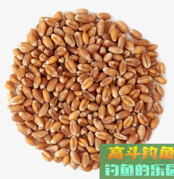 作钓大物的玉米和小麦要怎样制作才能达到功效巨佳