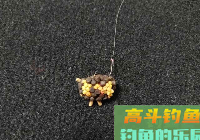浮水颗粒钓鱼的精髓，粒径的混搭才是法宝，非味型好
