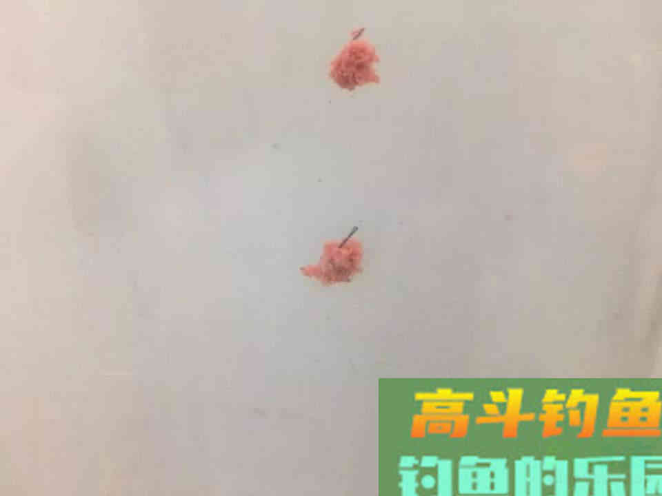 搭配饵料时懂得粗细结合，才能做到诱鱼留鱼双丰收