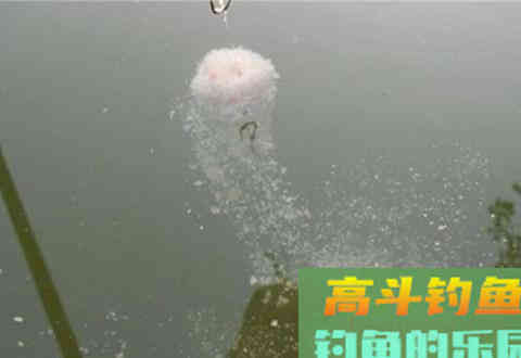 饵料“雾化”、“散落”揭秘，什么鱼该用啥样的雾化